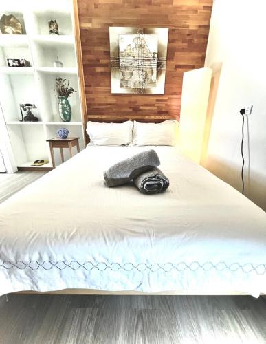 Salisbury Apartment | Salisbury Suburban Escape