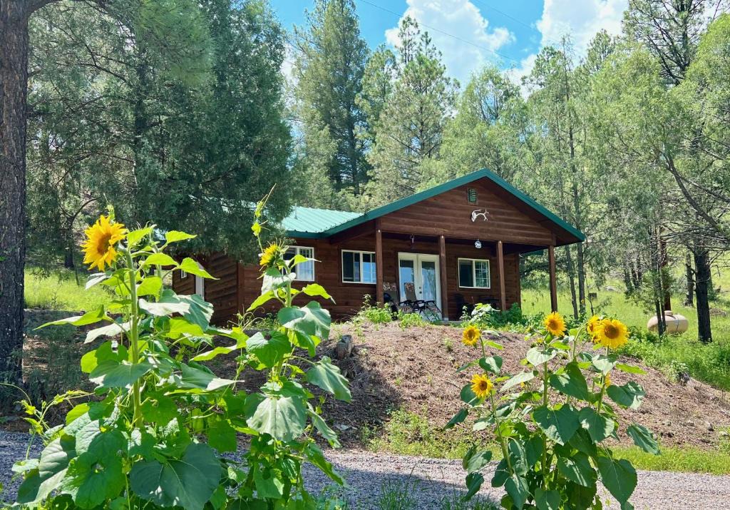 San Lorenzo House | Salt Creek Cabin In The Gila