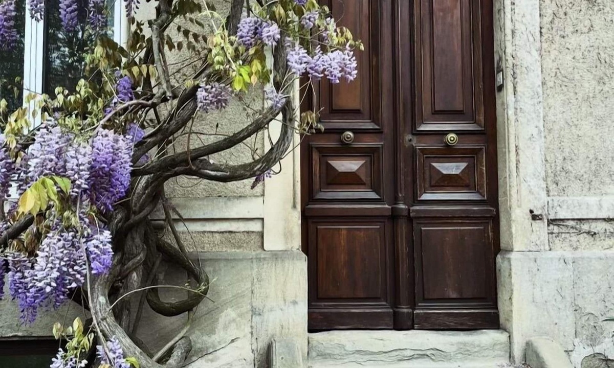 Bastide Saint-Louis Bed & Breakfast | SalutBB Chambre d'hote