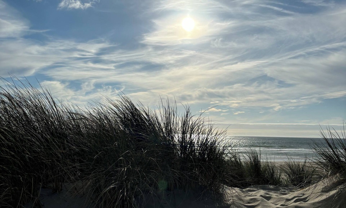 Manzanita Hotel | San Dune Inn