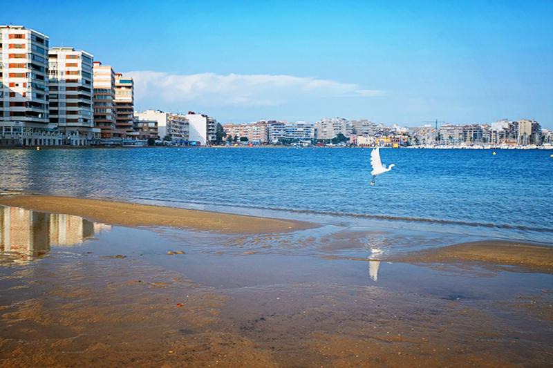 Torrevieja Apartment | San Pascual 69