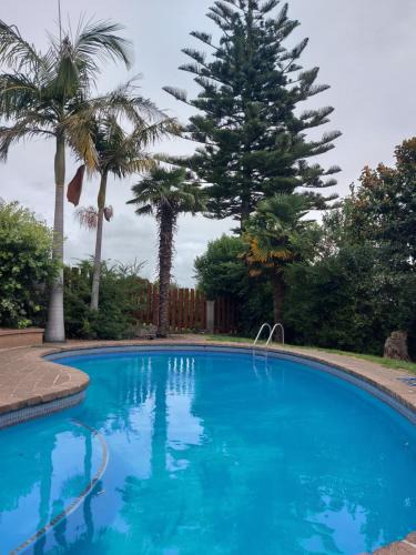 Tauranga Apartment | Sanctuary 4