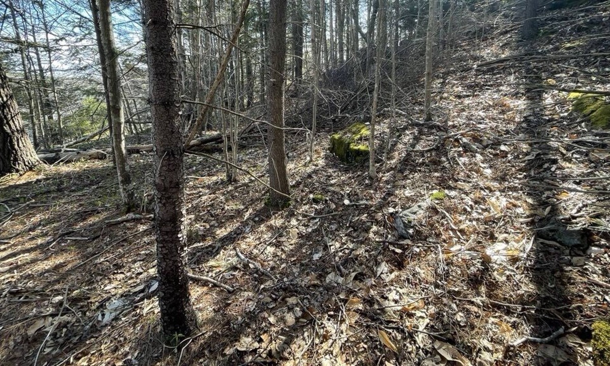 Harpswell RV Rental | Sanctuary Campsite with Secret Beach