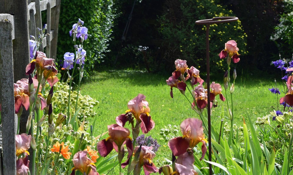 Sittingbourne Cottage | Sandhurst Farm Forge