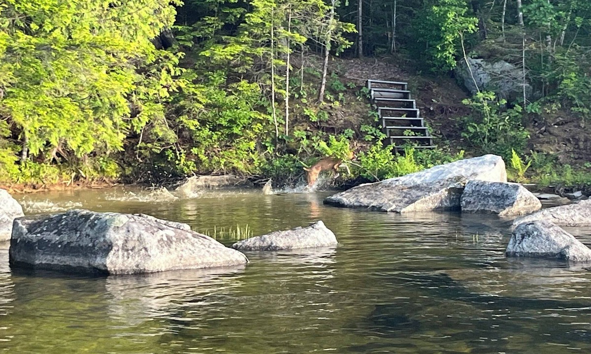 Lowell House | Sandy Cove