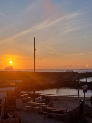 Portreath House | Sandy Paws