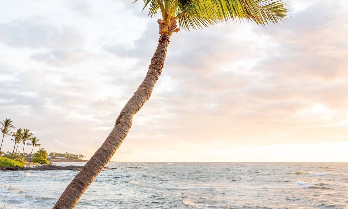 Kahaluu Bay House | Sandy Toes Getaway in Kona