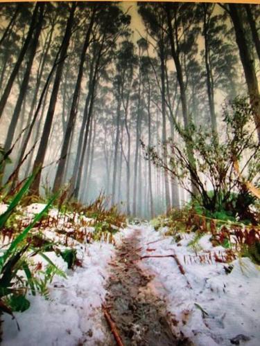 Millgrove House | Sanka Retreat B&B