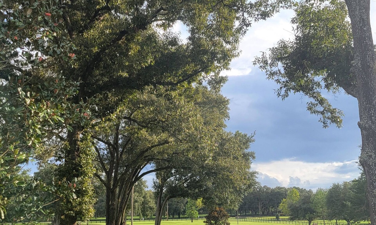 Fellowship Apartment | Sapling Studio @ Little Tree Farm