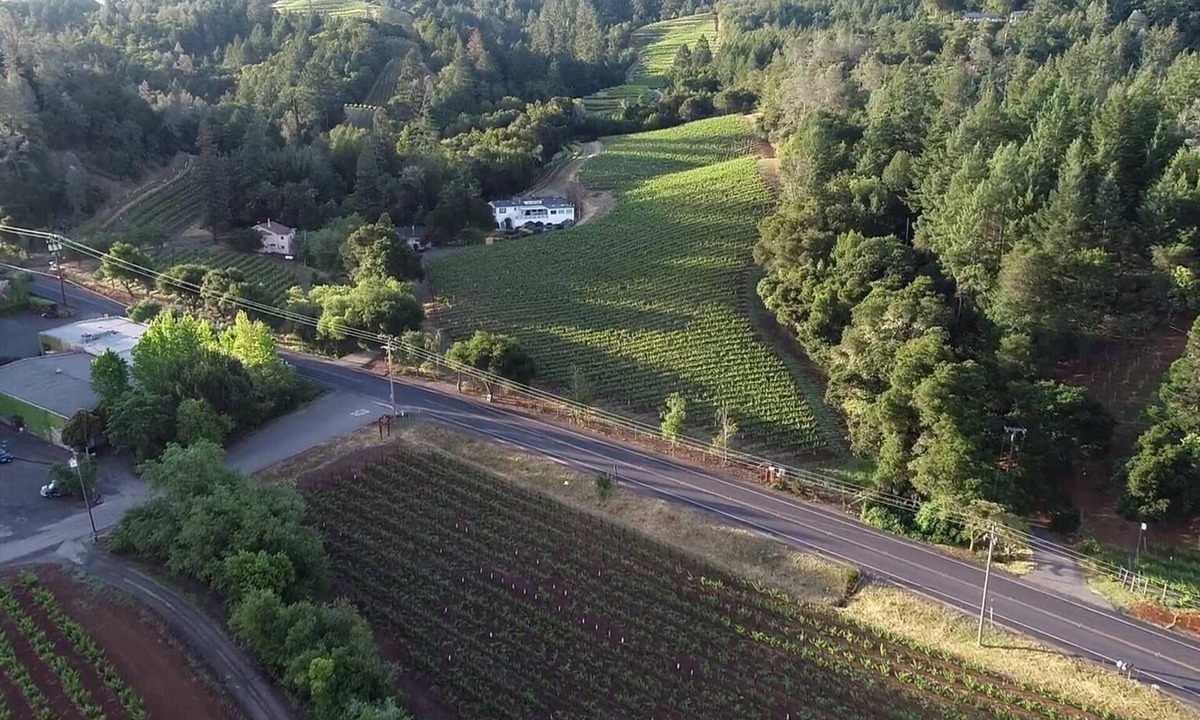 Geyserville House | Sapphire Canyon Vineyard Guest House