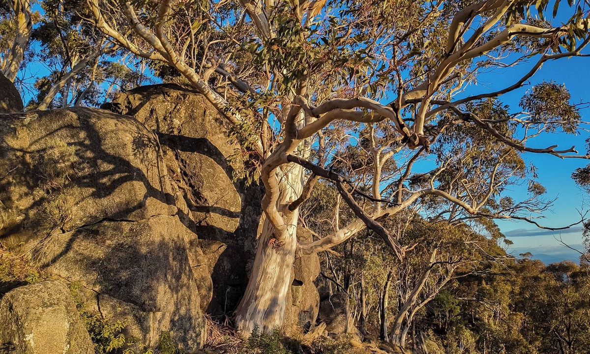 Stanley Cabin | Sawyers Lodge