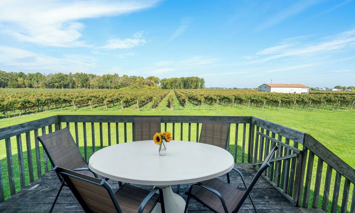 Virgil Other | Scenic Niagara Vineyard Farm Home for up to 9ppl