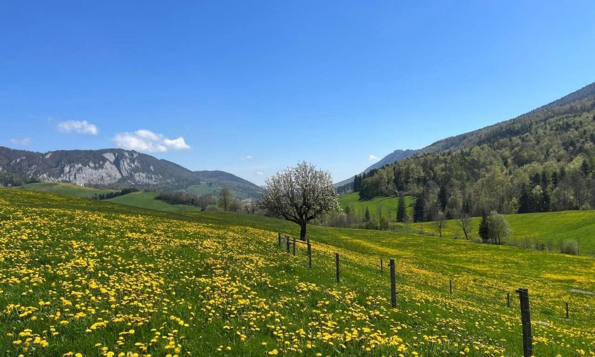 Gansbrunnen Apartment | Schafmatthof 1 Obergeschoss by Interhome