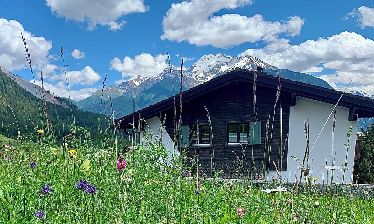 Lenz Apartment | Schmuckstück mit Sonnenterasse, Direkteinstieg auf Langlauf-loipe und Biketrails