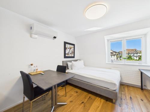 Rapperswil Apartment | SCHNYDER'S HOME - Studio 1