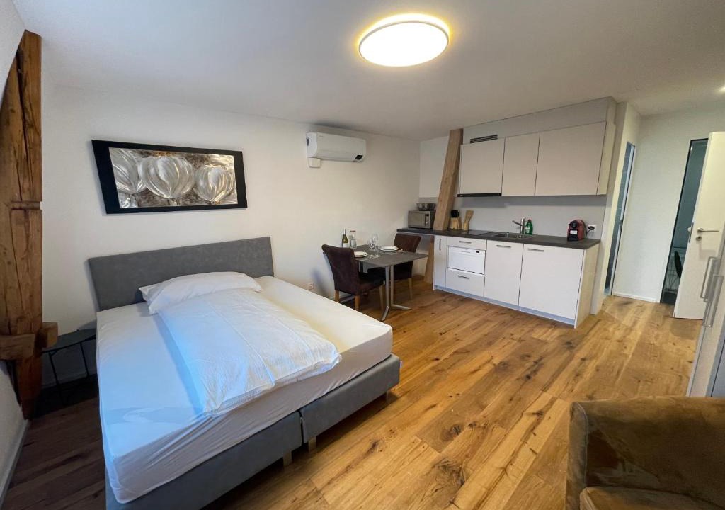 Rapperswil Apartment | SCHNYDER'S HOME Studio 2