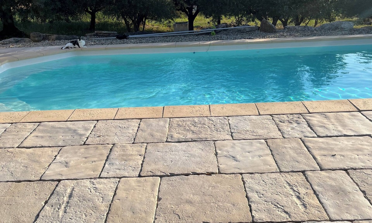 Saint-Maurice-de-Cazevieille Apartment | Self-catering cottage surrounded by olive trees Near Uzes