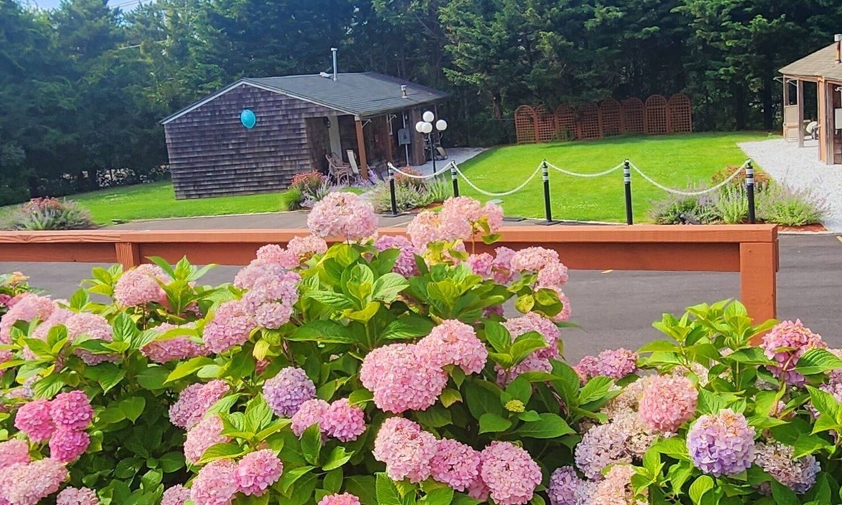 Shinnecock Hills Hotel | Sea Haven Resort Motel