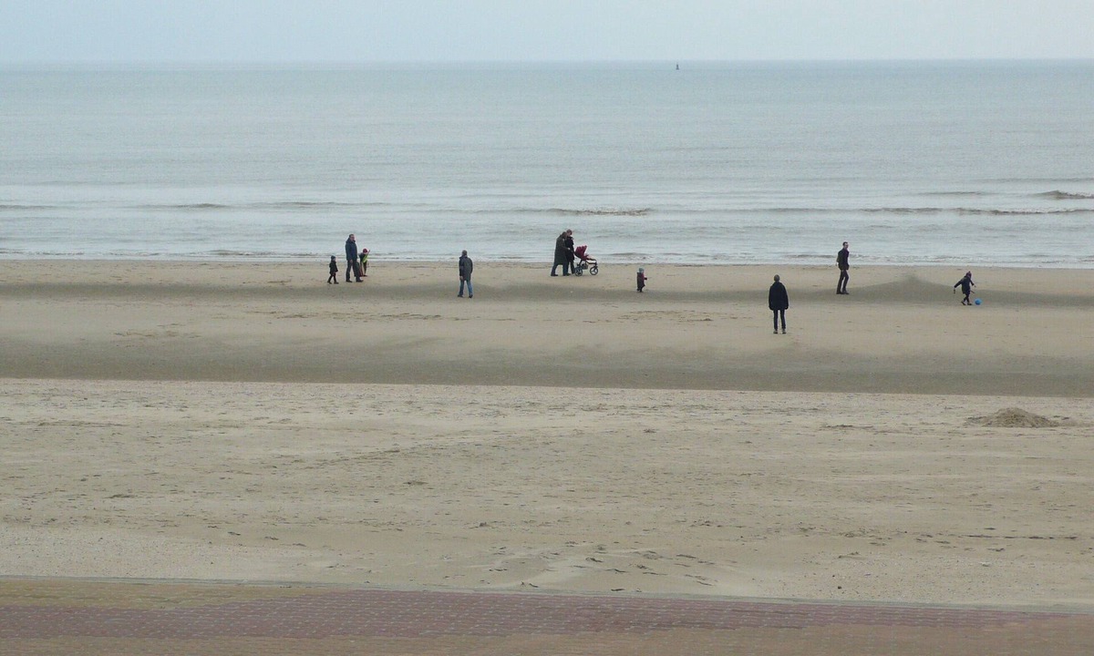Bray-Dunes Apartment | Sea view apartment 20 m from the beach