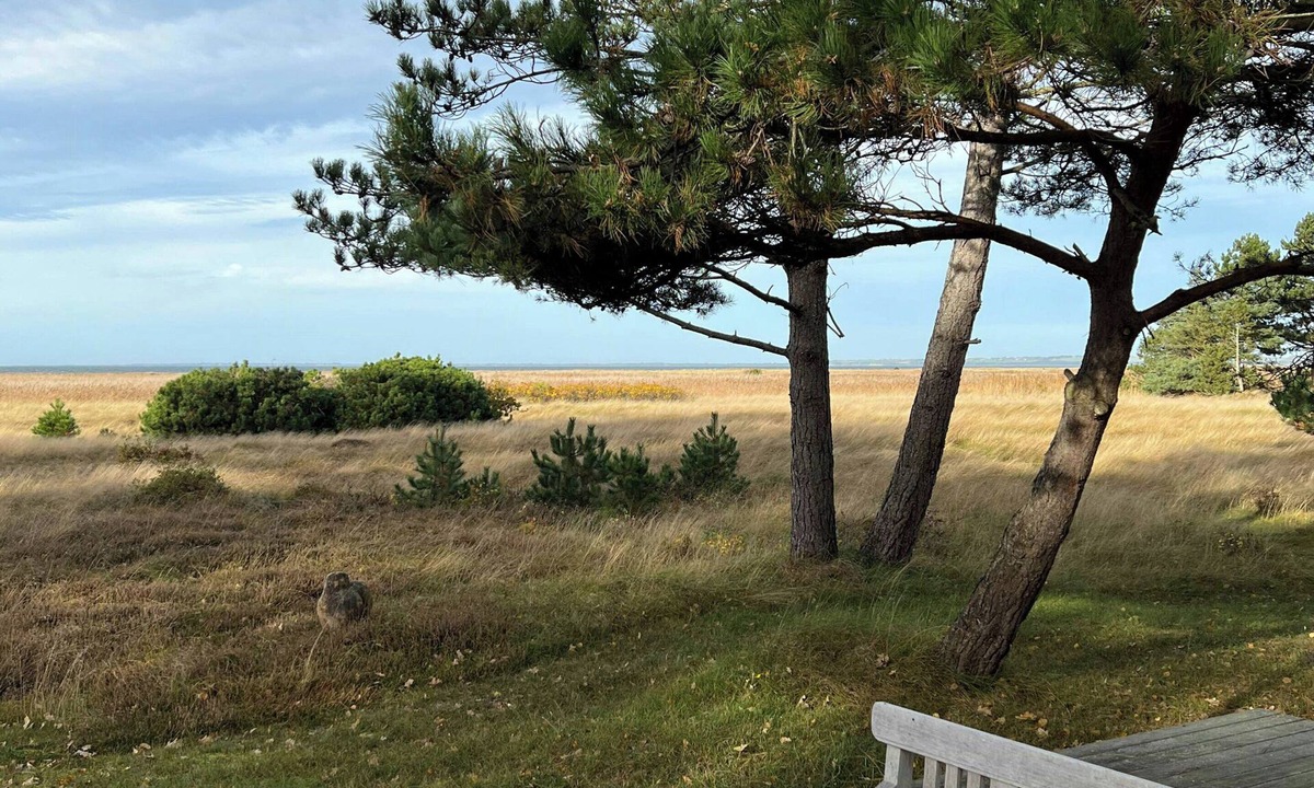 Hoeve Strand House | Sea view over heather and reeds near Sejerø Bay