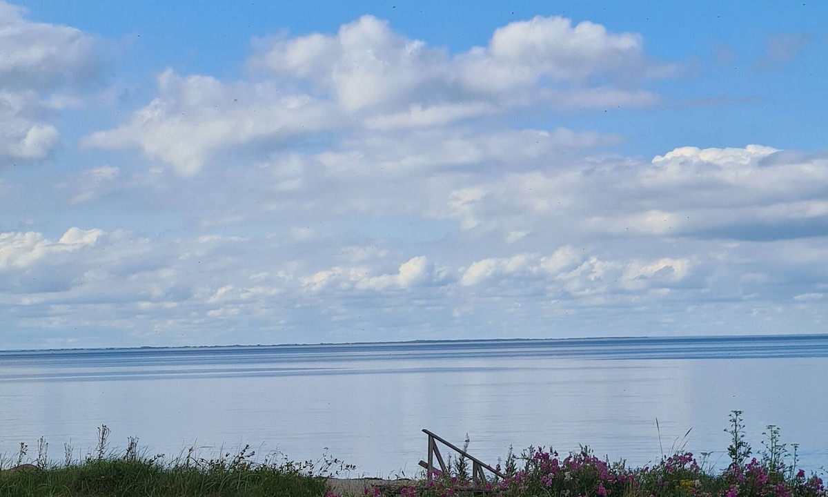 Tørresø House | Sea Views for Life Lovers