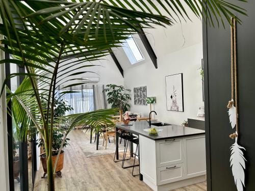 Ahuriri Apartment | SEAduction Luxury Apartment