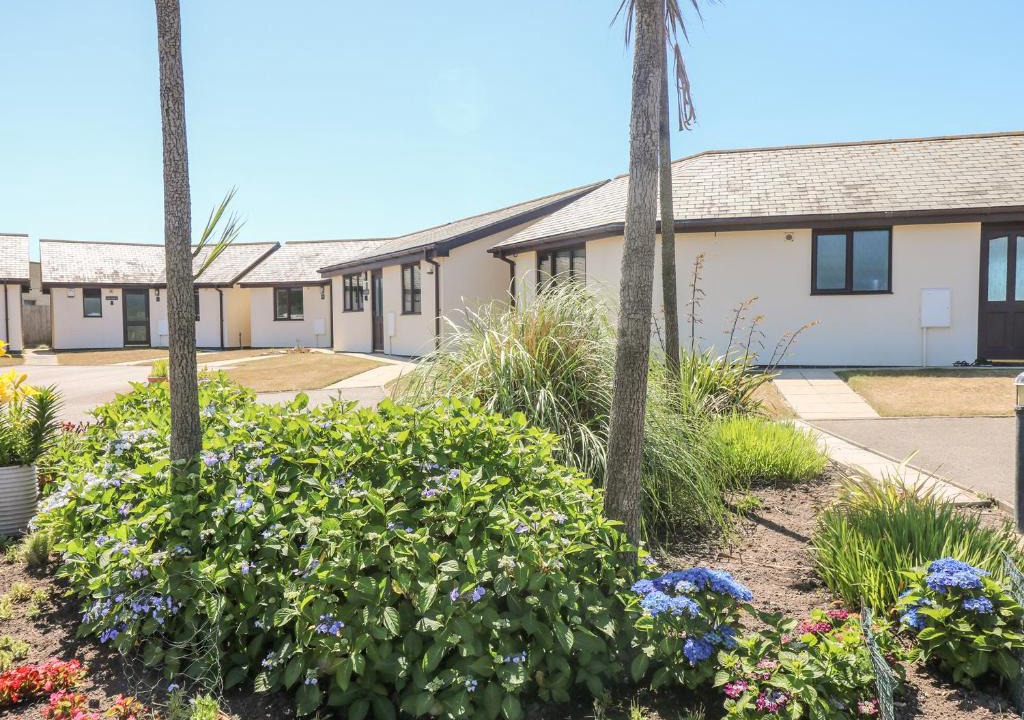 Longrock House | Seashells