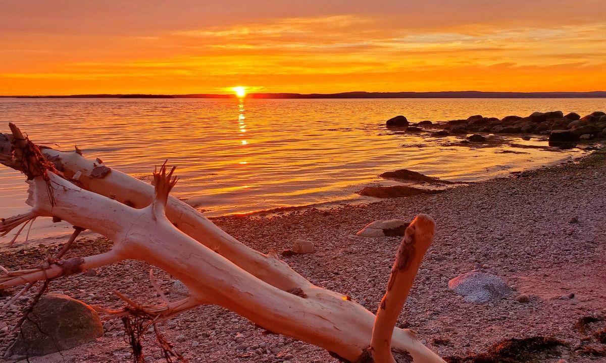 Upper Blandford House | Seaside Oasis