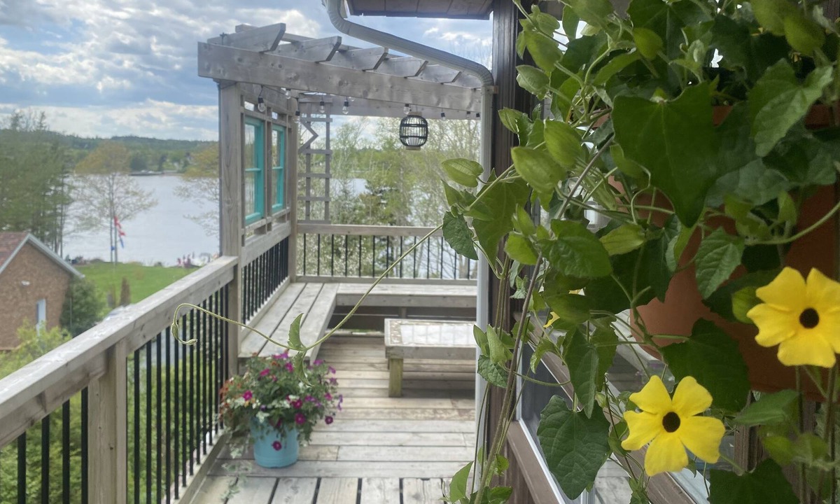 East Petpeswick Cottage | Seaside sunsets waterfront retreat