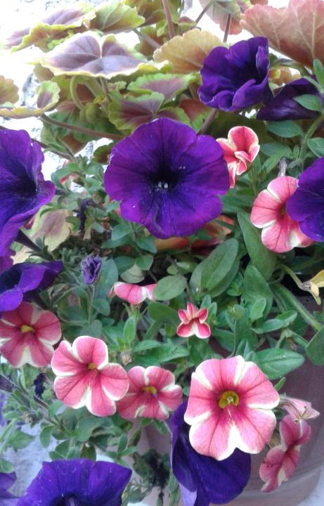 South Shore House | Seasons 24 Guest House