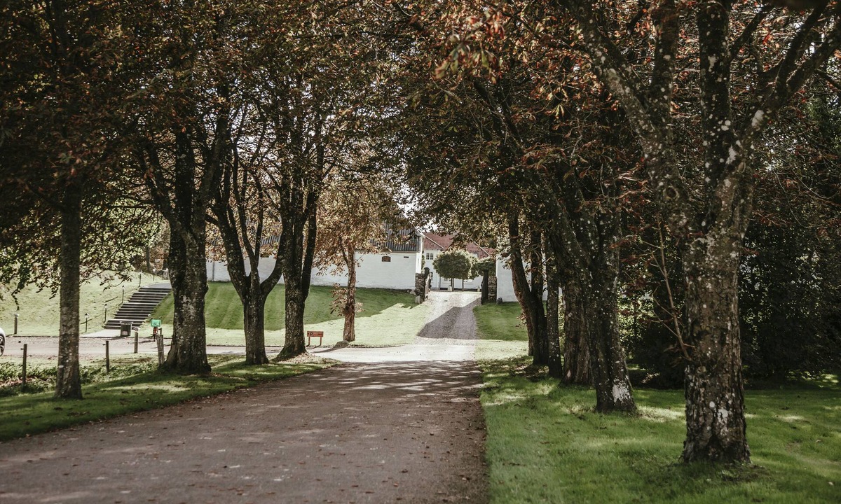 Nibe Bed & Breakfast | Sebber Kloster