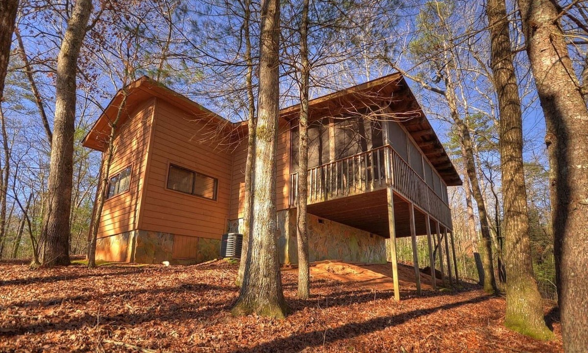 Ellijay Cabin | Secluded Bliss BirchTree Cabin with Indoor Hot Tub