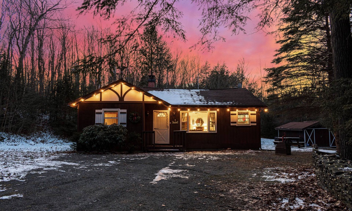 Town of Broome Cabin | Secluded Cabin 30 mins from Windham with King Bed, Game Room, Fireplace, Firepit