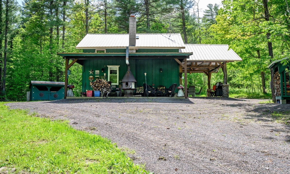 Dansville Cabin | Secluded Cabin near State Land