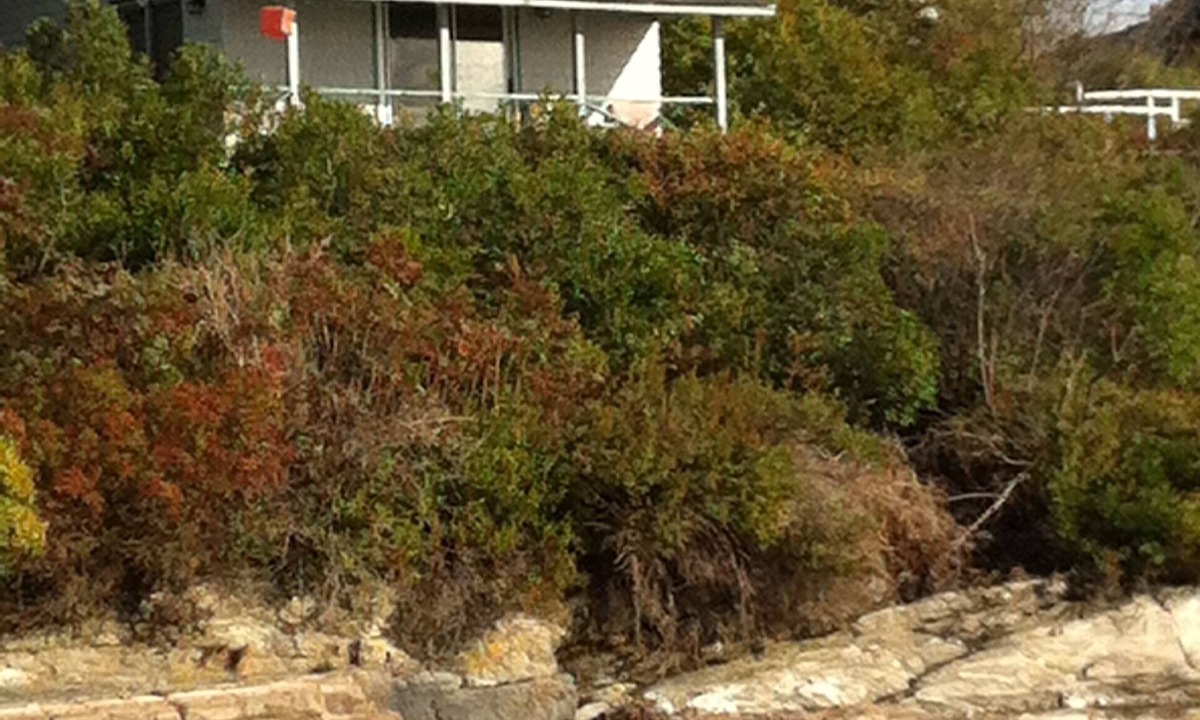 Mid-Coast and Islands Cabin | Secluded Casco Bay Waterfront Cabin