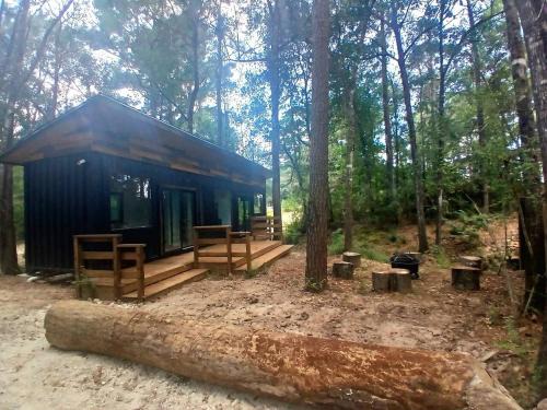 Plantersville House | Secluded Container with BBQ for a Waterfront Retreat, Perfect for Fishing and Roasting S'Mores in Grimes County, Texas