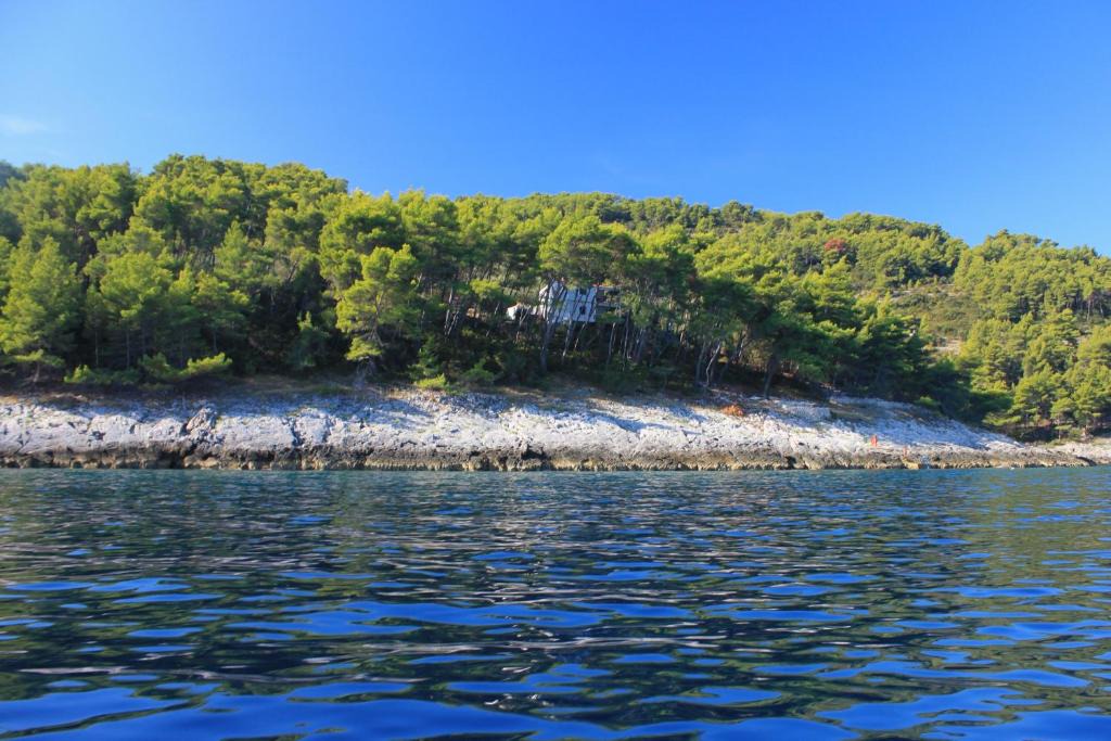 Blato House | Secluded fisherman's cottage Cove Spiliska, Korcula - 9142