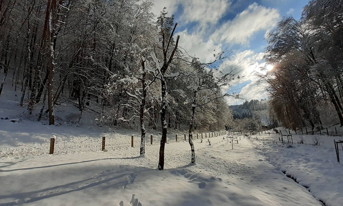 Reipertswiller House | Secluded forest cottage with private pond