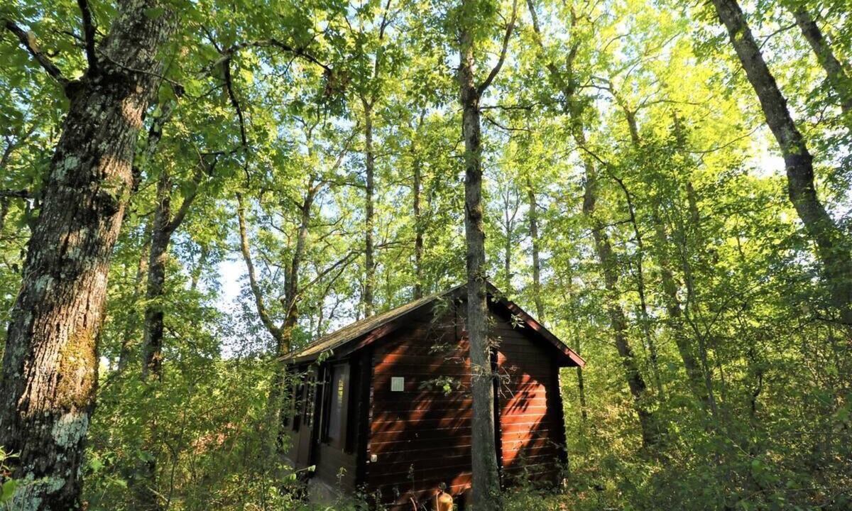 Meilhan Cabin | Secluded Forest Tiny House with Views