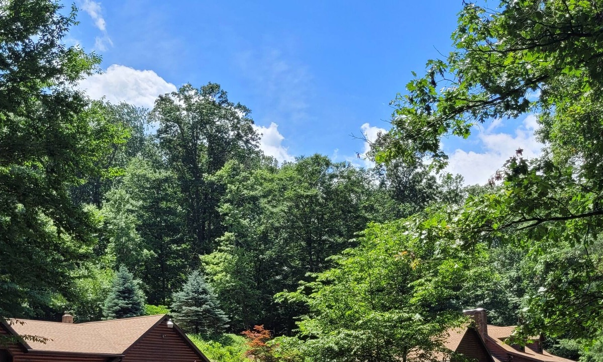 Birdsboro House | Secluded Log home in a very peaceful setting.
