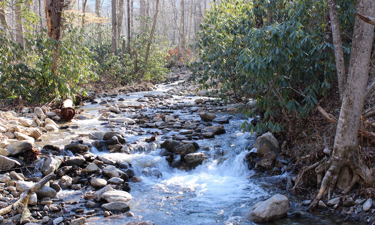 Candler Cabin | Secluded, parkway, spring, hiking on property, hot tub, pets, fire pit, 360 tour