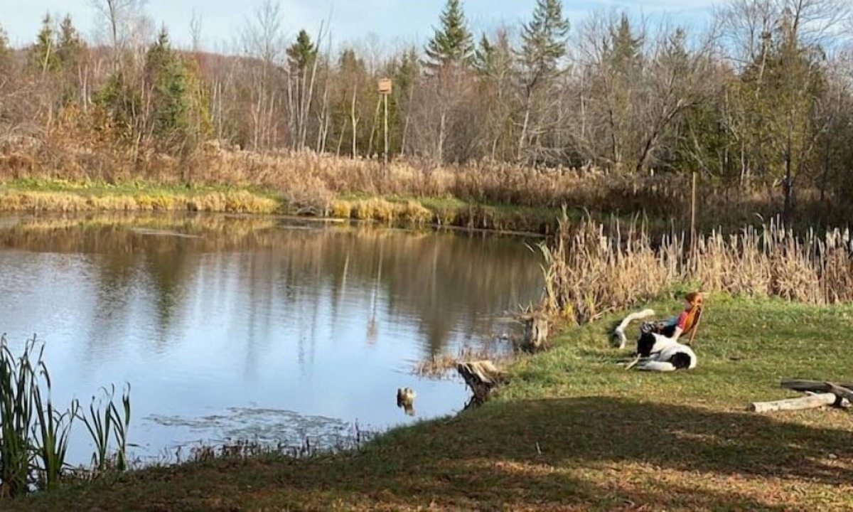 Greenbank Cottage | Secluded Pet Friendly House With Pond and Forest Trails in Uxbridge