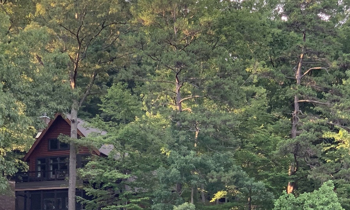 Big Creek Cabin | Secluded retreat in the woods on Big Creek.