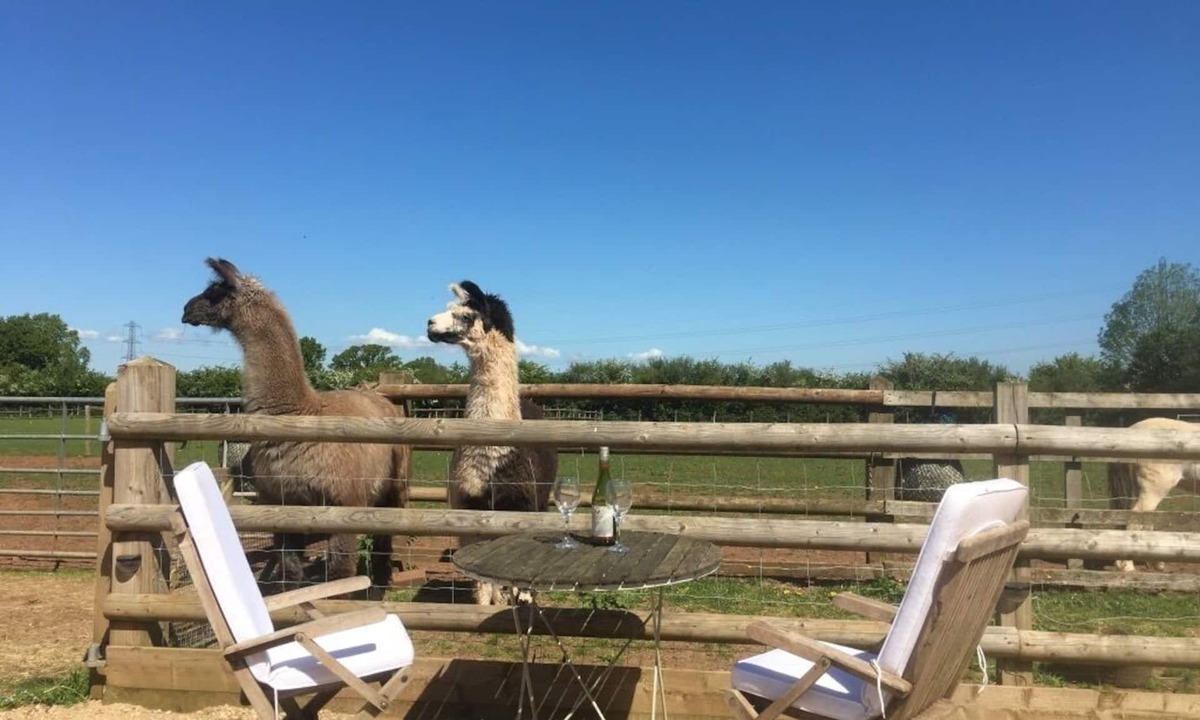 Coalpit Heath Apartment | Secluded, self-contained converted stable, Elstar.