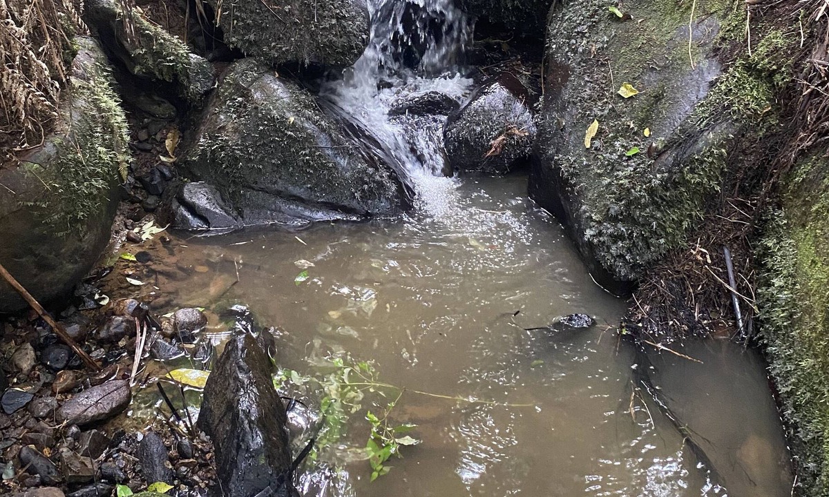 Te Miro House | Secluded within 12 acres of native bush