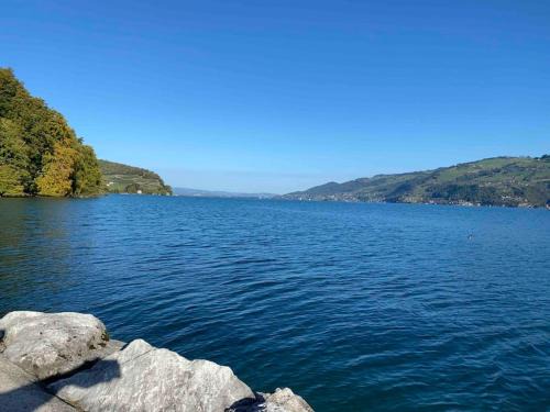 Faulensee Apartment | See und Berge Garden