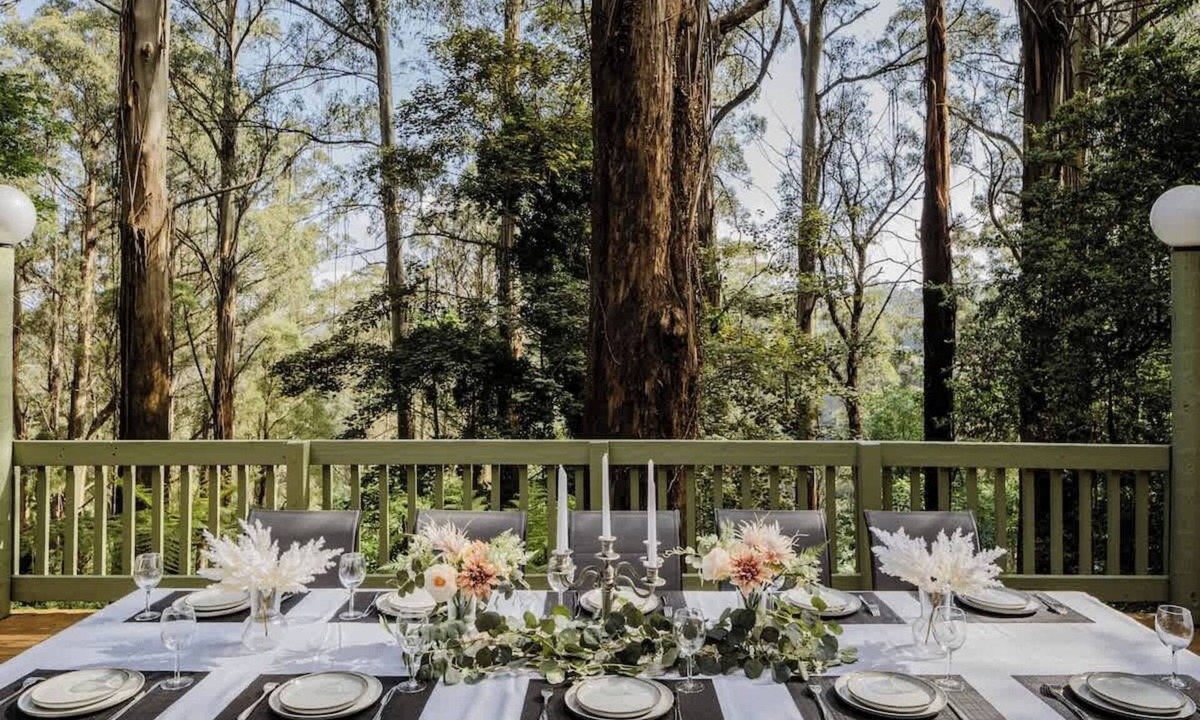 Sassafras Cabin | Seednest Treehouse | Forest & Mountain View