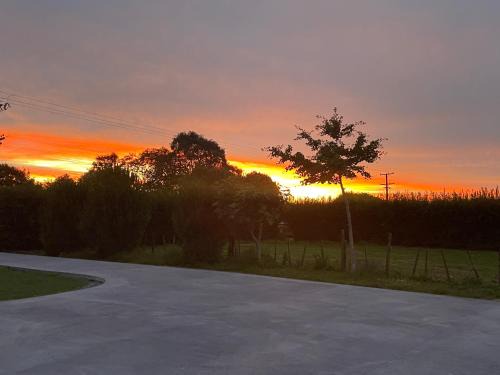 Te Miro House | Self check-in double or single rooms