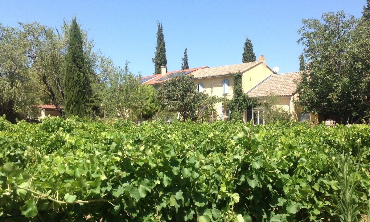 Serignan-du-Comtat Apartment | Self-contained apartment in a late 19th century Provencal mas