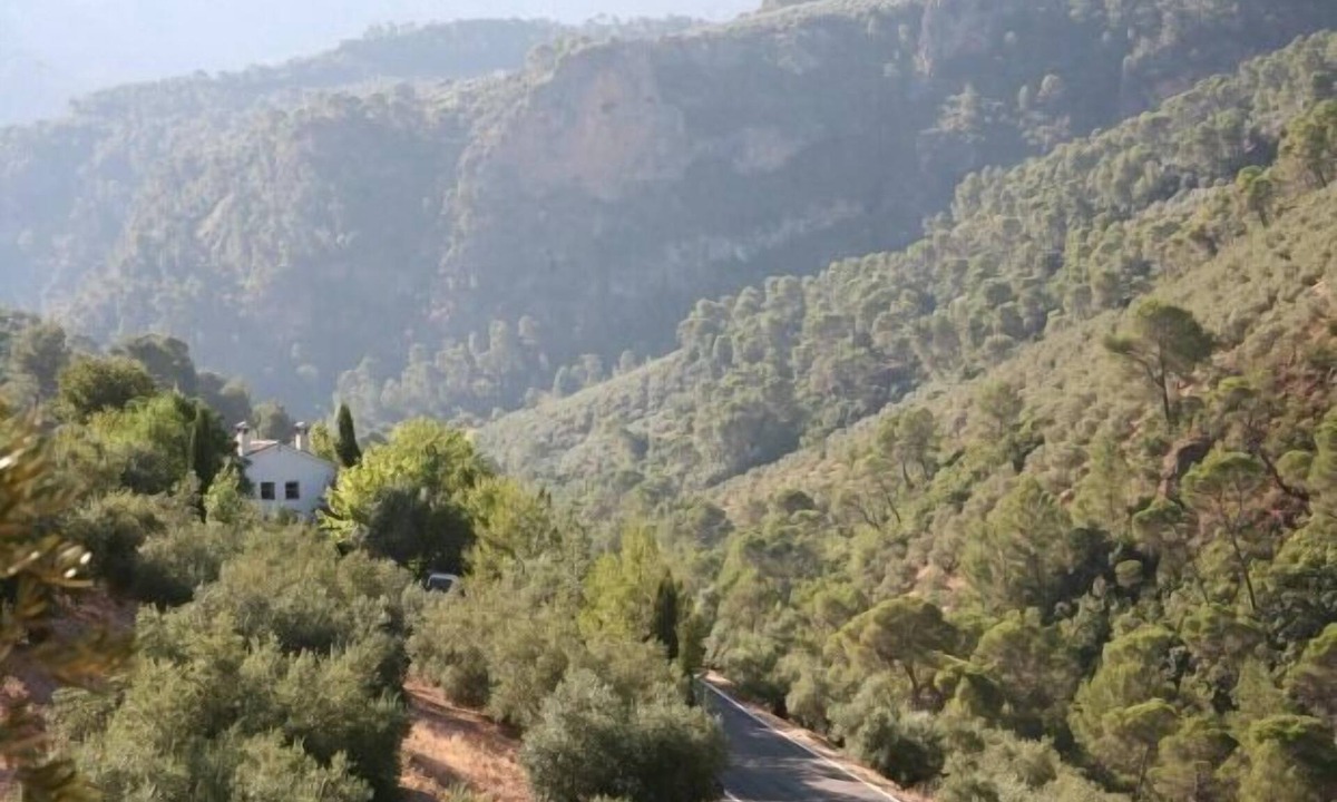 Villanueva del Arzobispo Cottage | Self catering El Nolo for 14 people